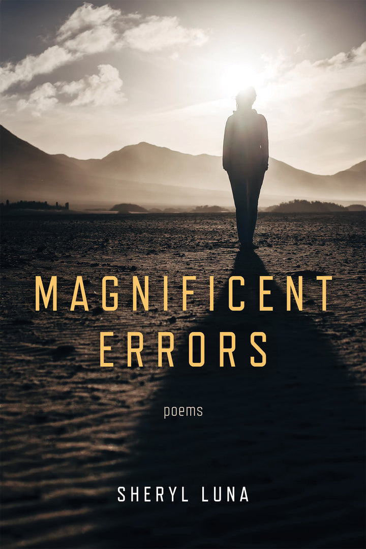Cover image for Magnificent Errors ISBN 9780268201821