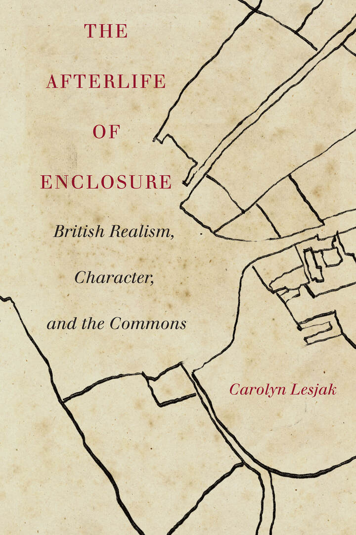 Cover image for The Afterlife of Enclosure ISBN 9781503627819