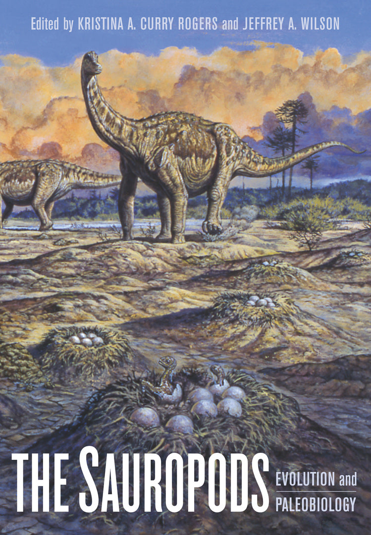 Cover image for The Sauropods ISBN 9780520246232