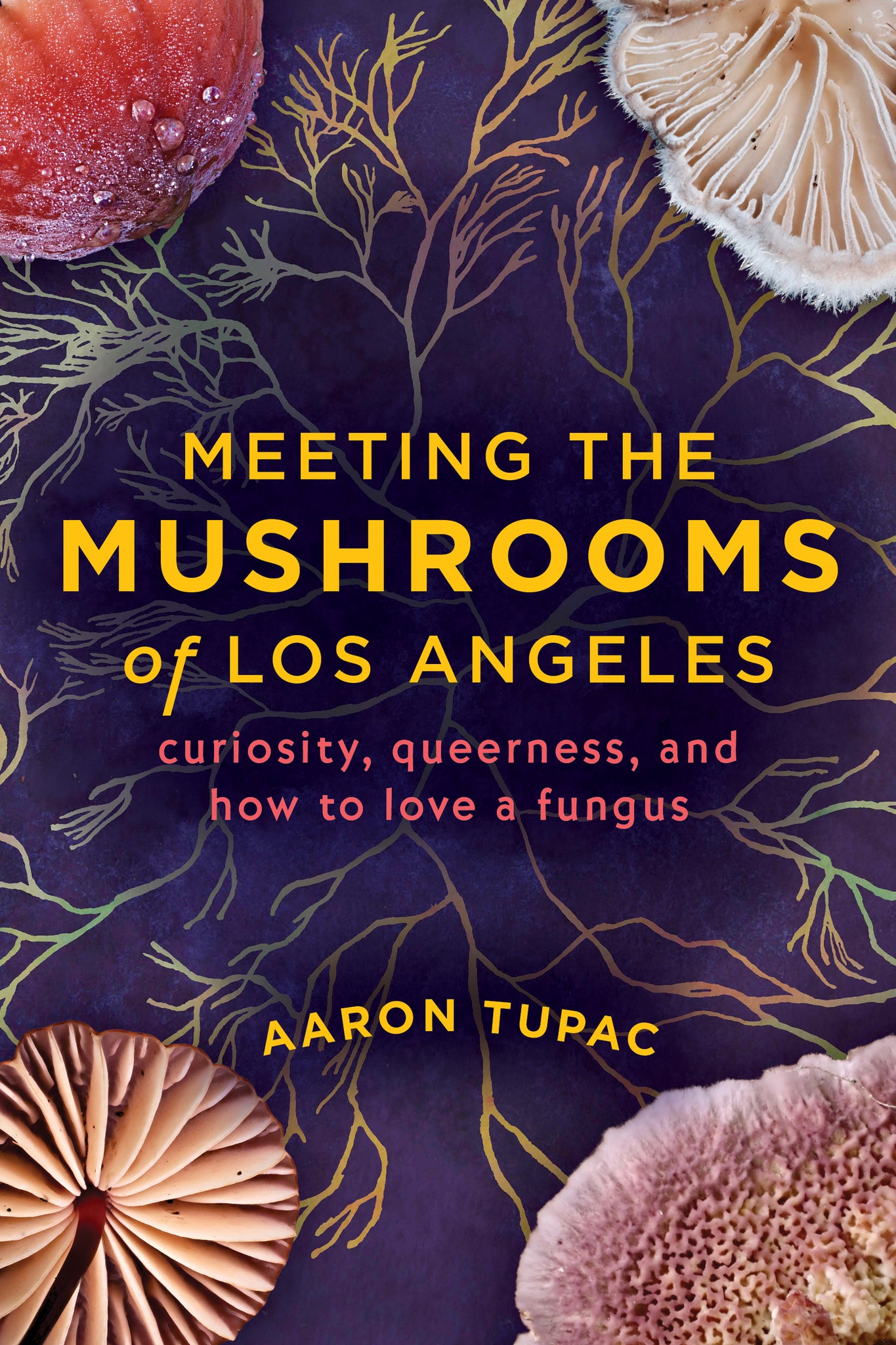 Meeting the Mushrooms of Los Angeles