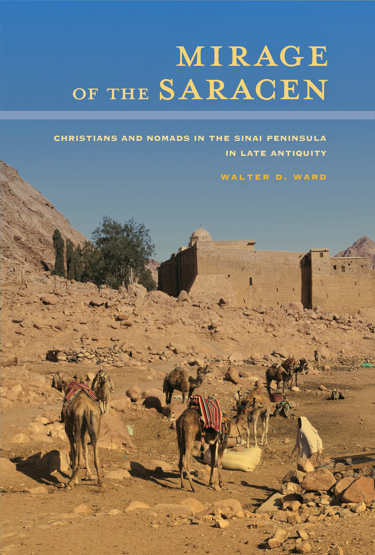 Cover image for Mirage of the Saracen ISBN 9780520283770