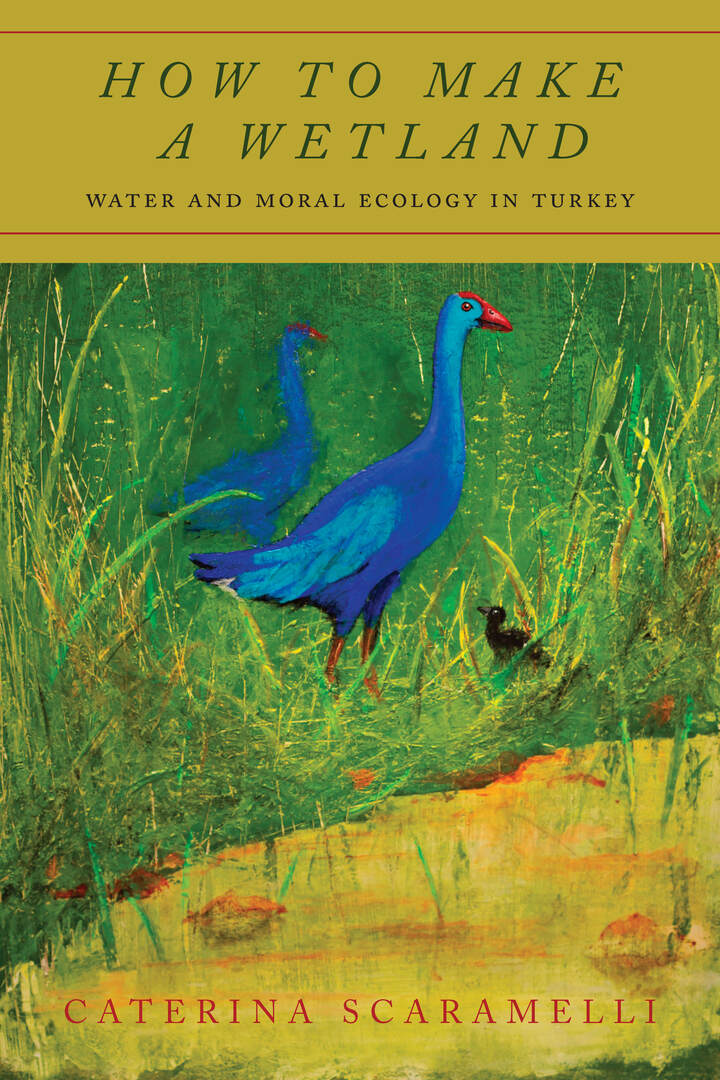 Cover image for How to Make a Wetland ISBN 9781503615403