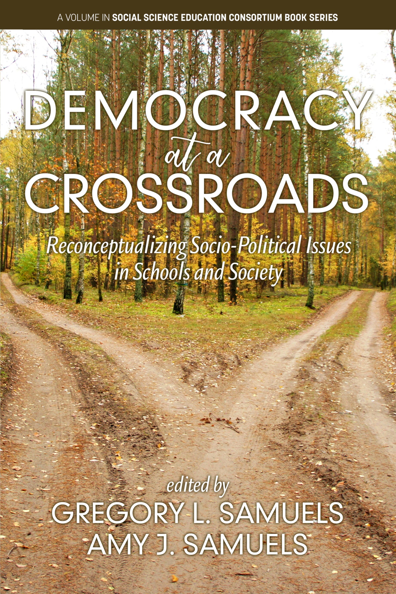 Democracy at a Crossroads