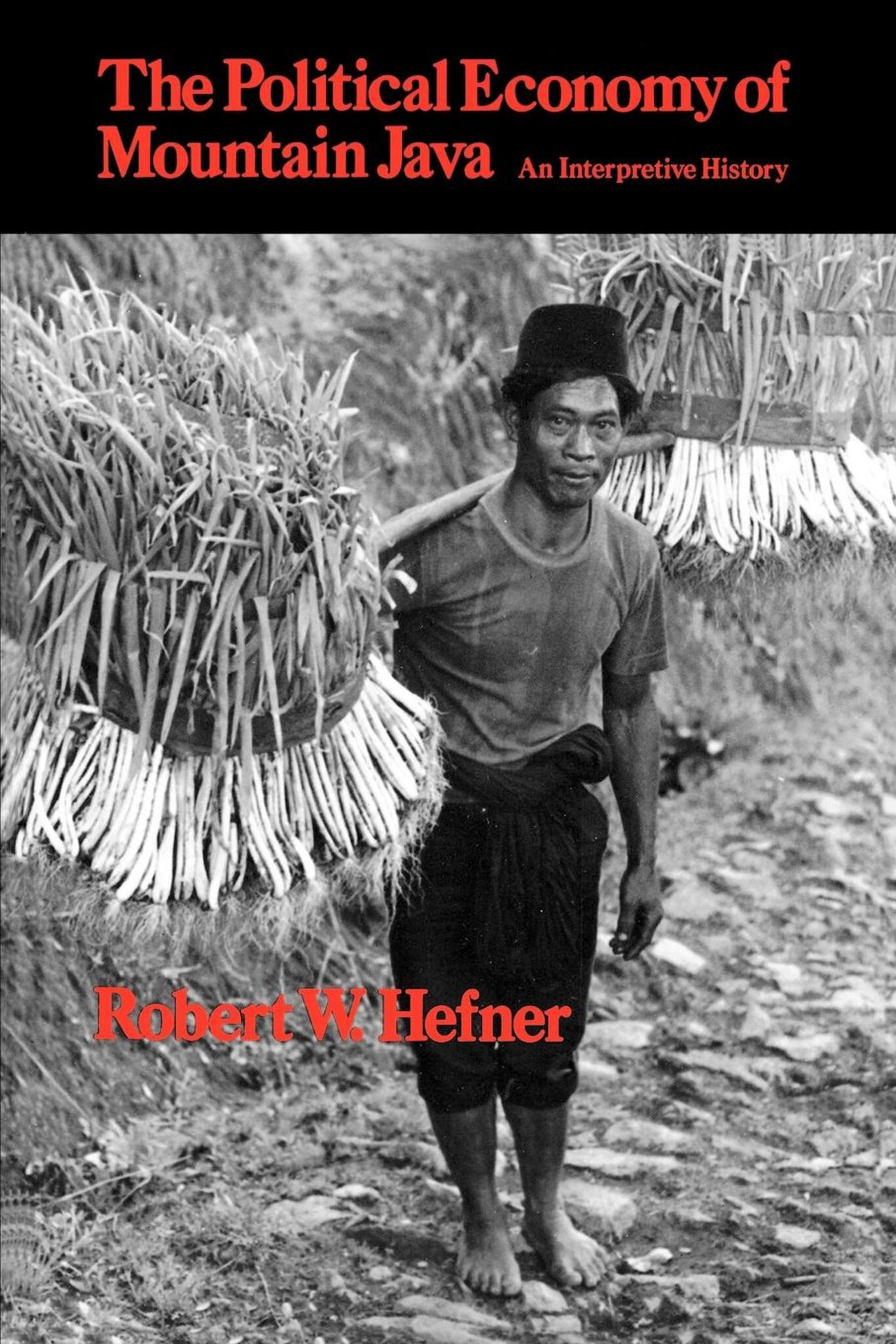 The Political Economy of Mountain Java
