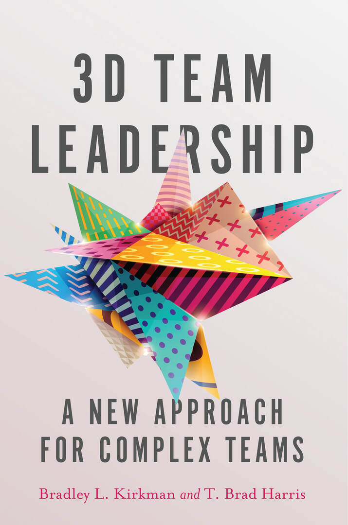 Cover image for 3D Team Leadership ISBN 9780804796422