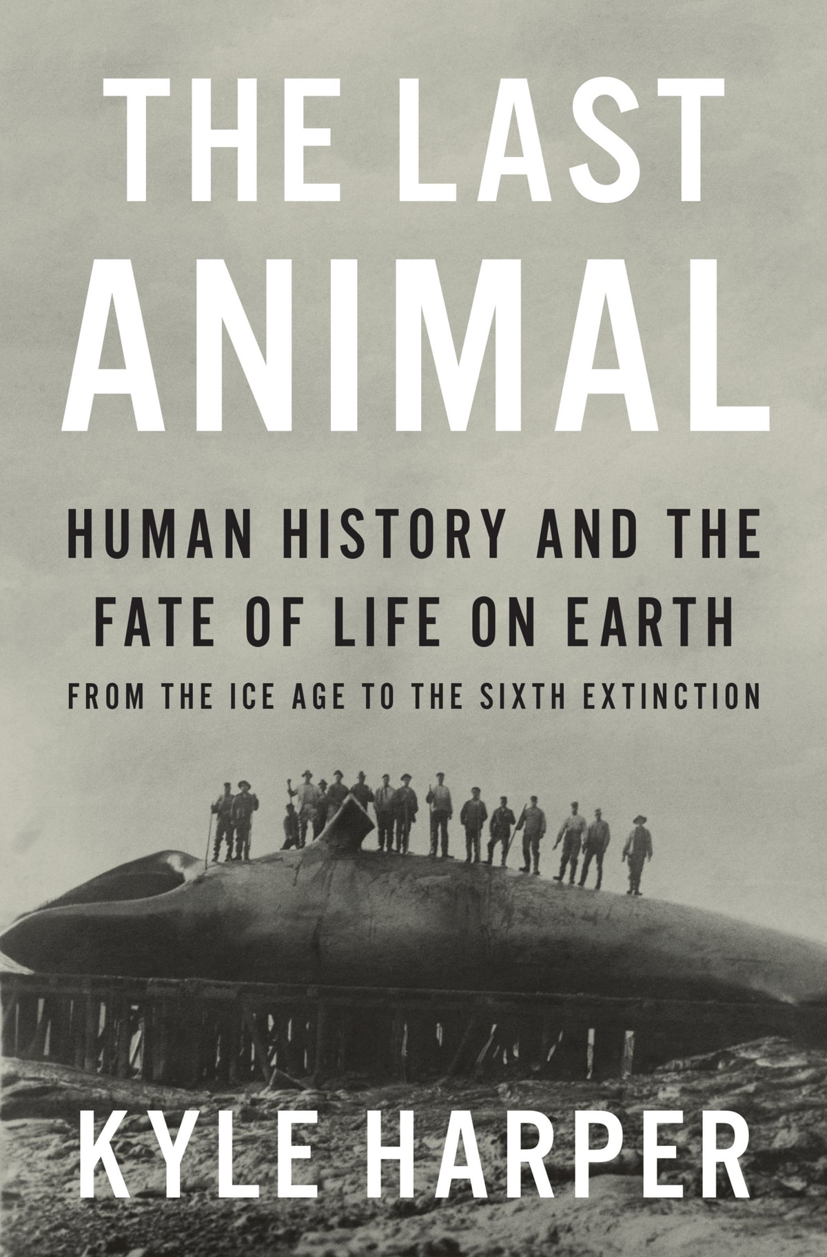 The Last Animal
