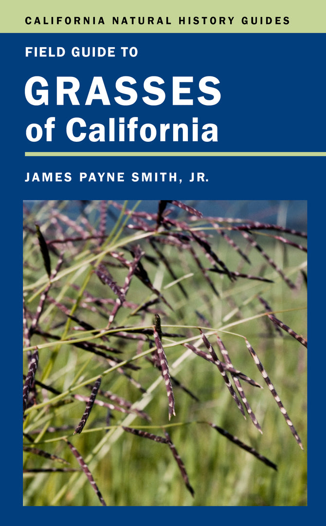 Cover image for Field Guide to Grasses of California ISBN 9780520275683