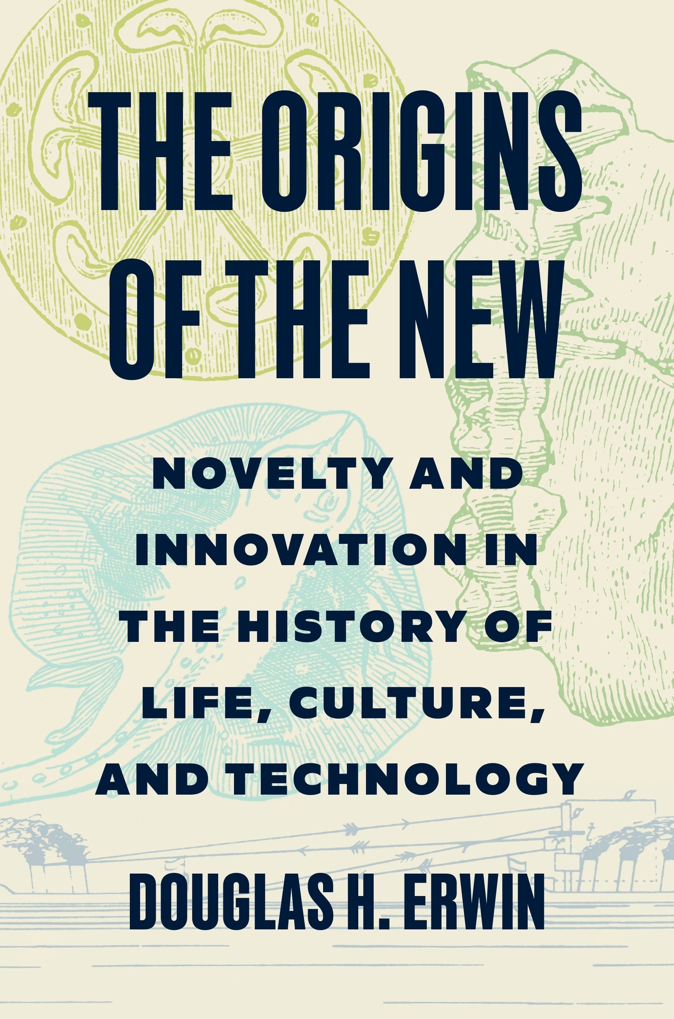 The Origins of the New