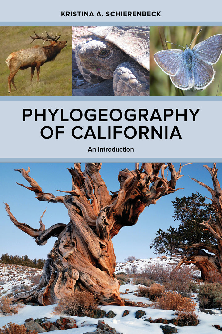 Cover image for Phylogeography of California ISBN 9780520278875