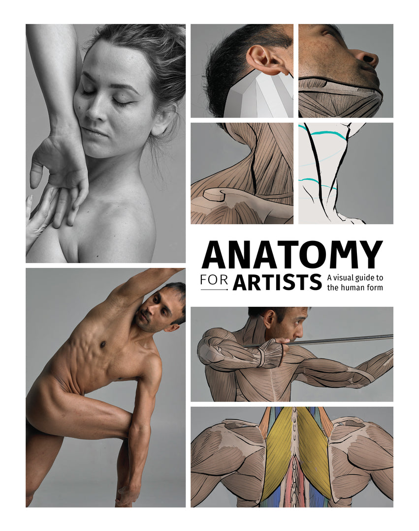Cover image for Anatomy for Artists ISBN 9781912843107