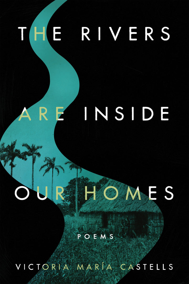 Cover image for The Rivers Are Inside Our Homes ISBN 9780268205676
