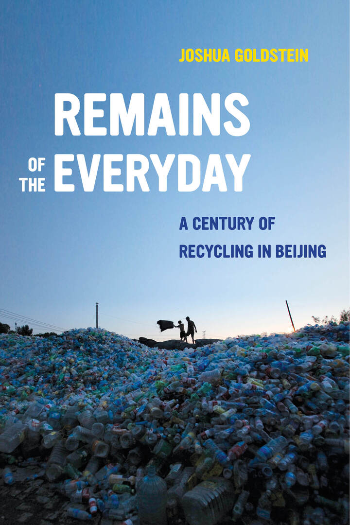 Cover image for Remains of the Everyday ISBN 9780520299818