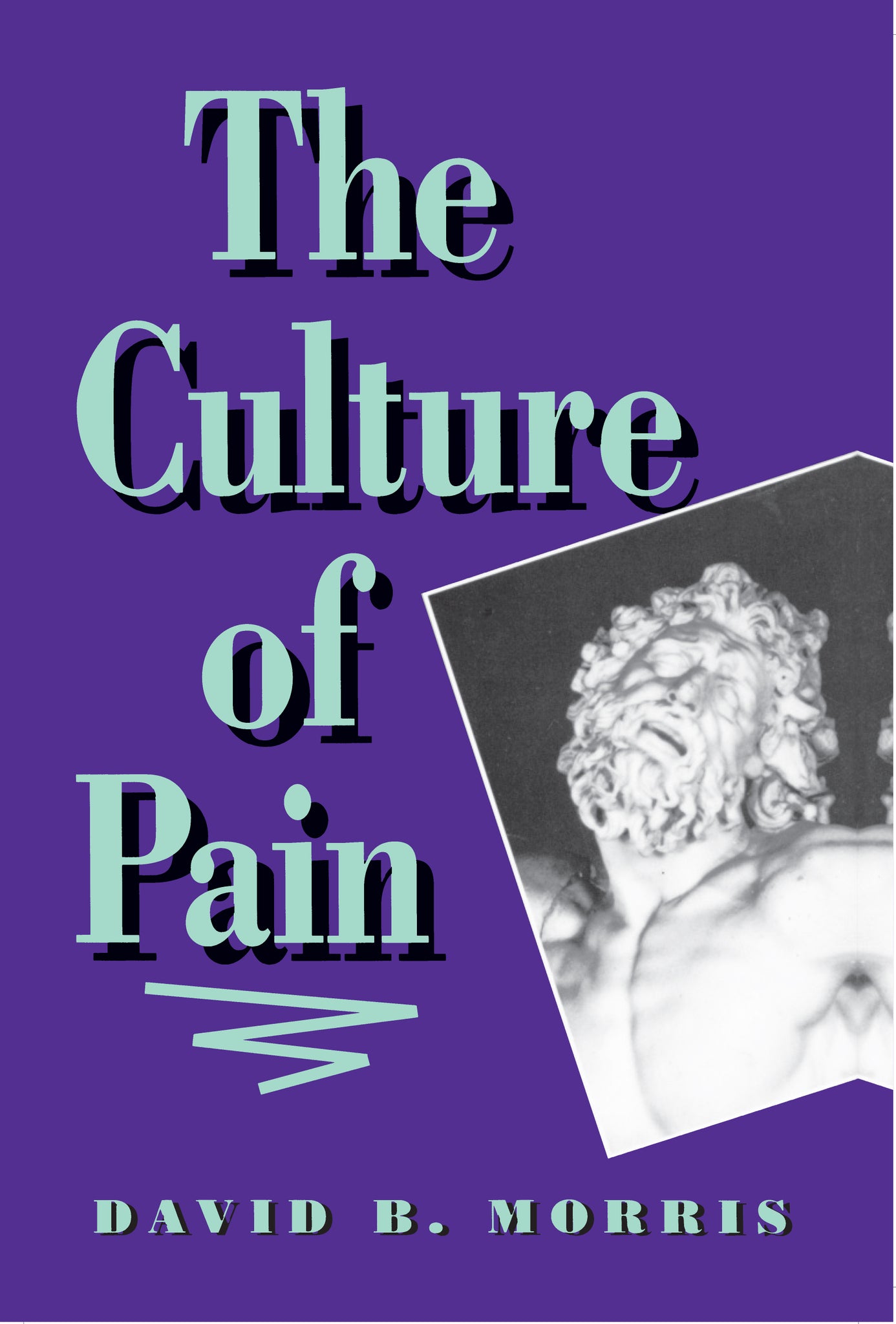 The Culture of Pain