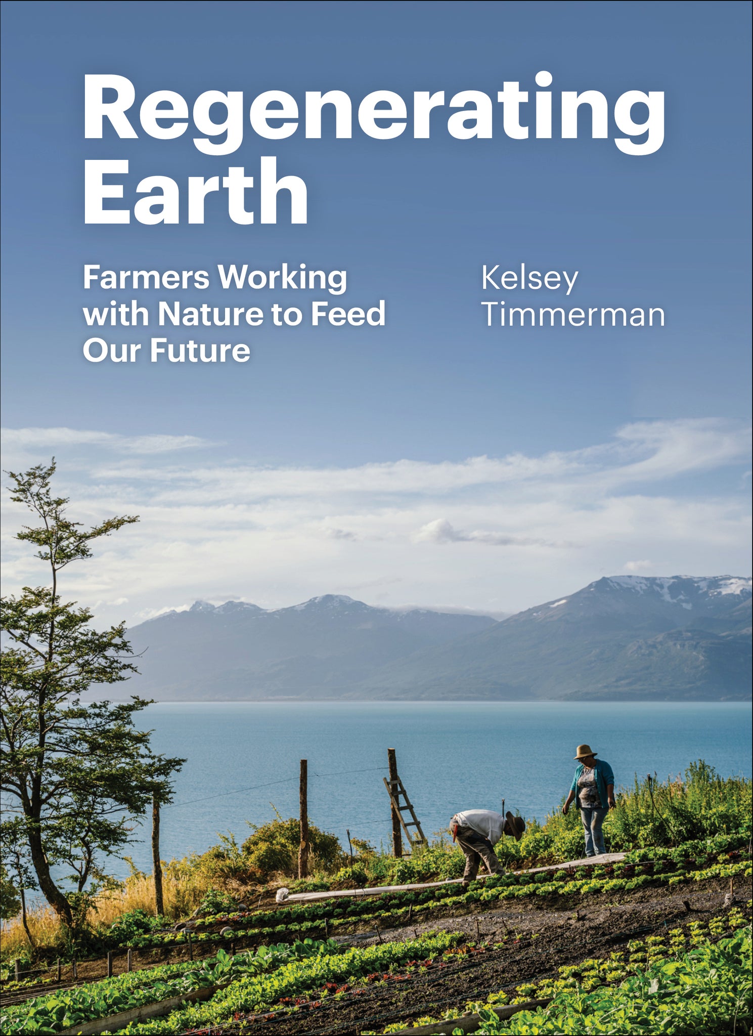 Regenerating Earth