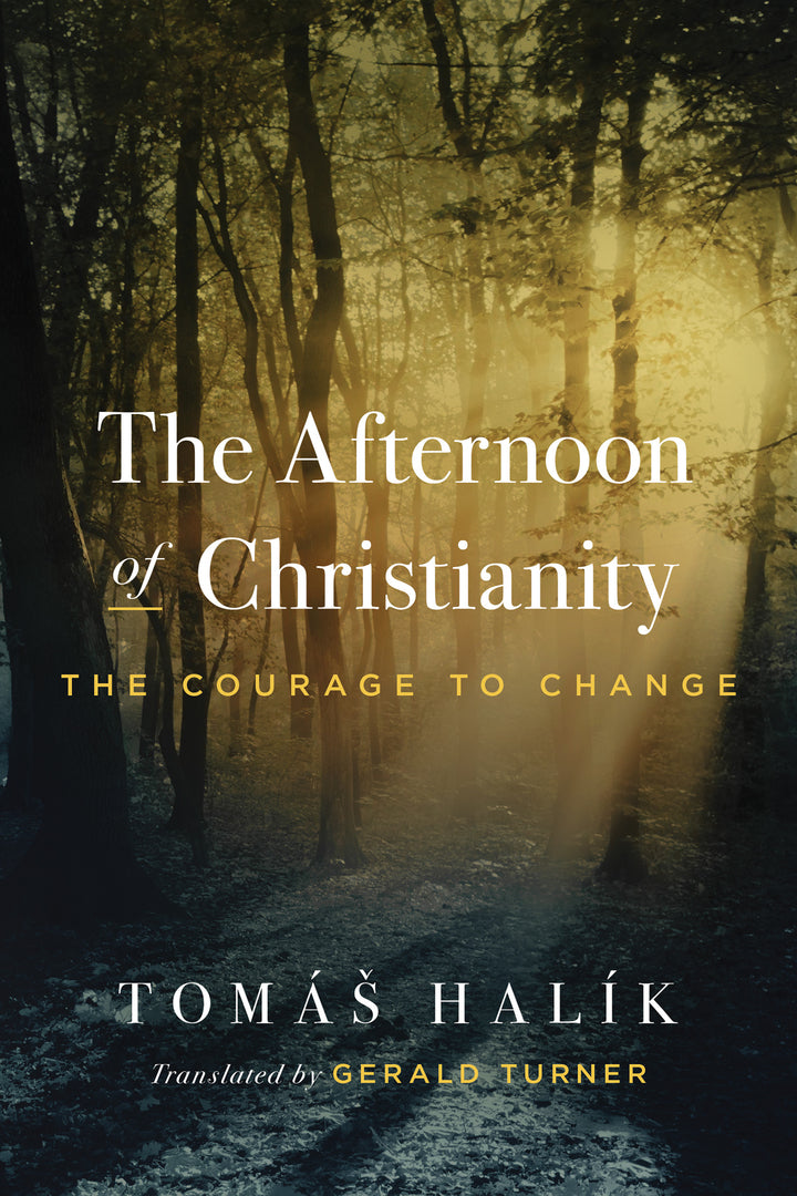 Cover image for The Afternoon of Christianity ISBN 9780268207489