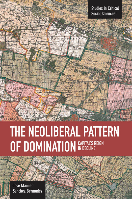 The Neoliberal Pattern of Domination