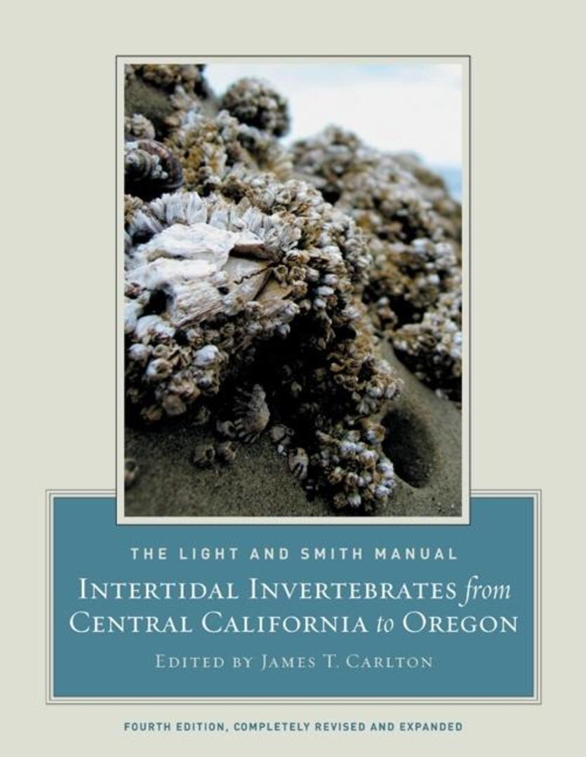 Cover image for The Light and Smith Manual ISBN 9780520239395