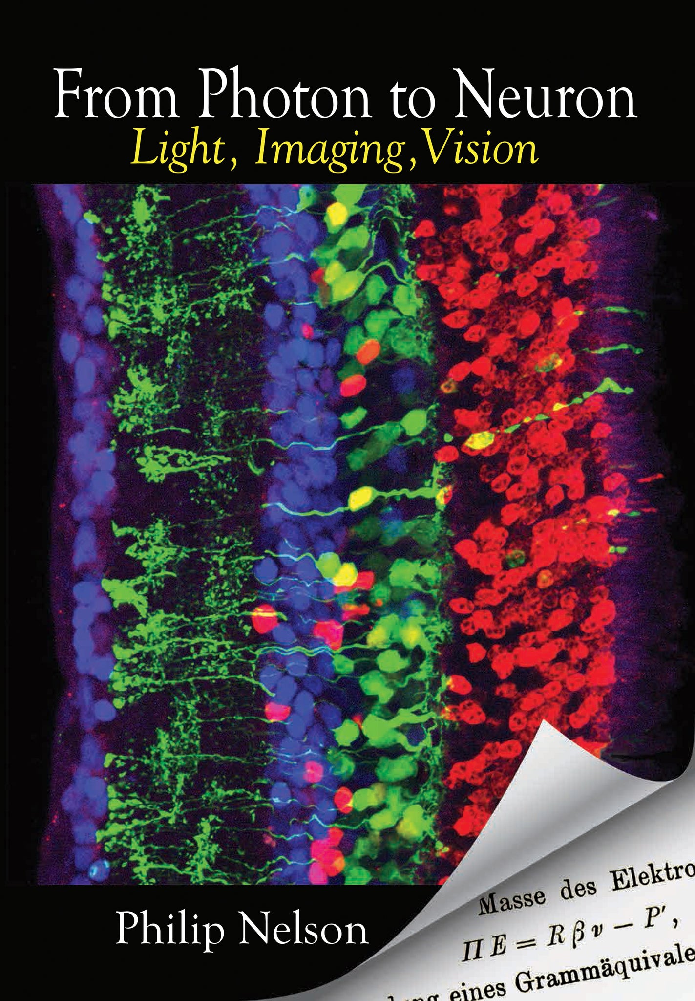 From Photon to Neuron