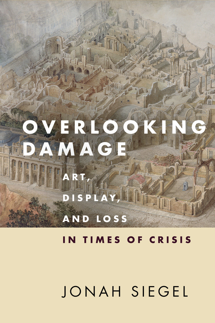 Cover image for Overlooking Damage ISBN 9781503632158
