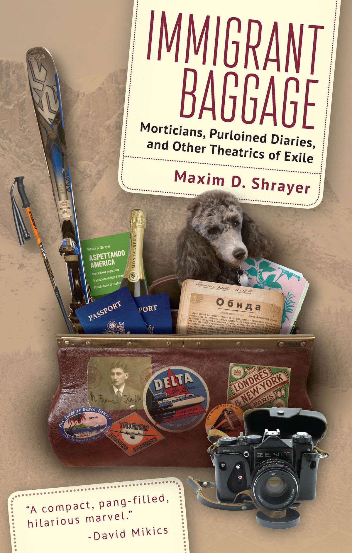 Immigrant Baggage