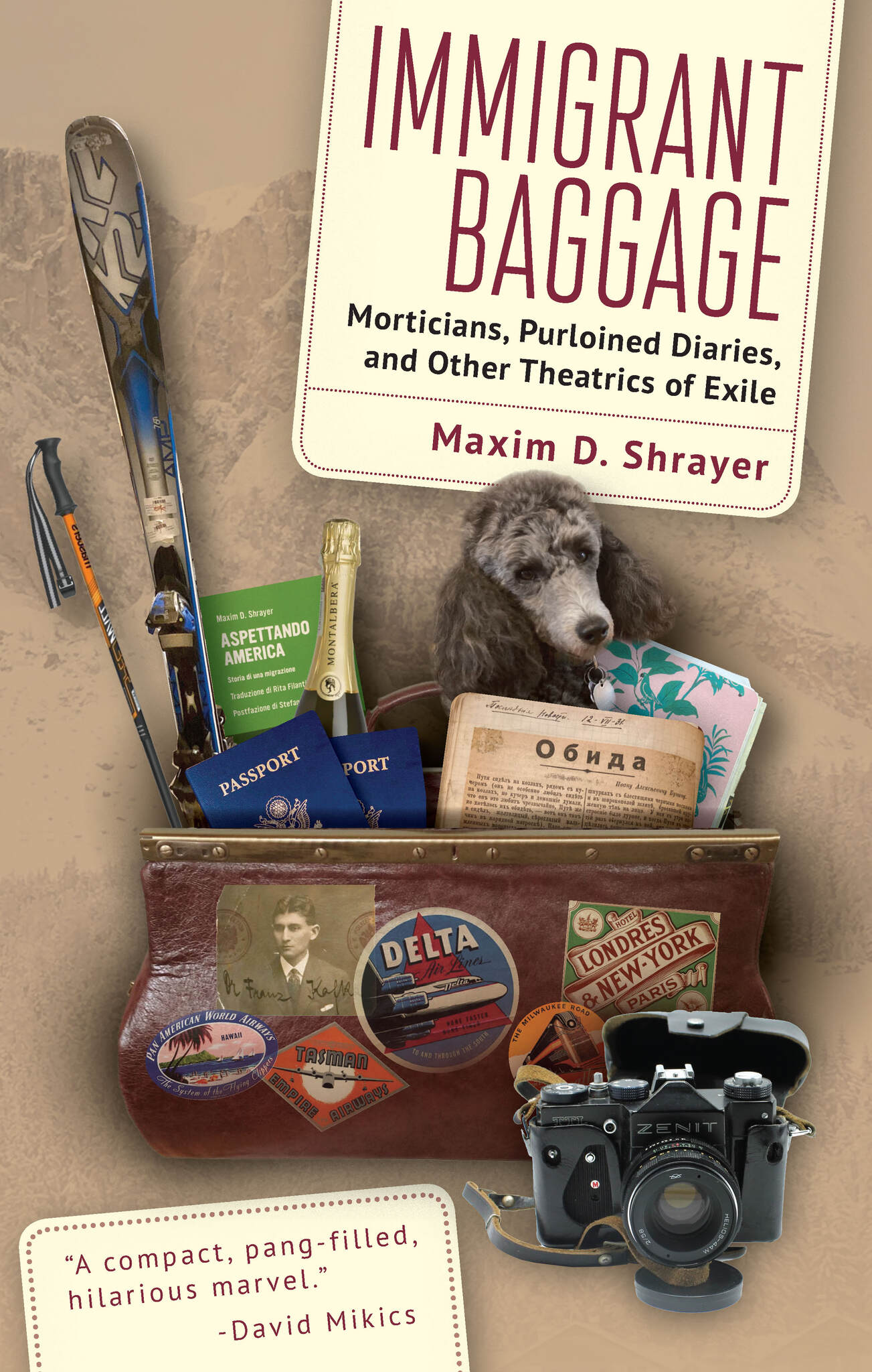 Immigrant Baggage