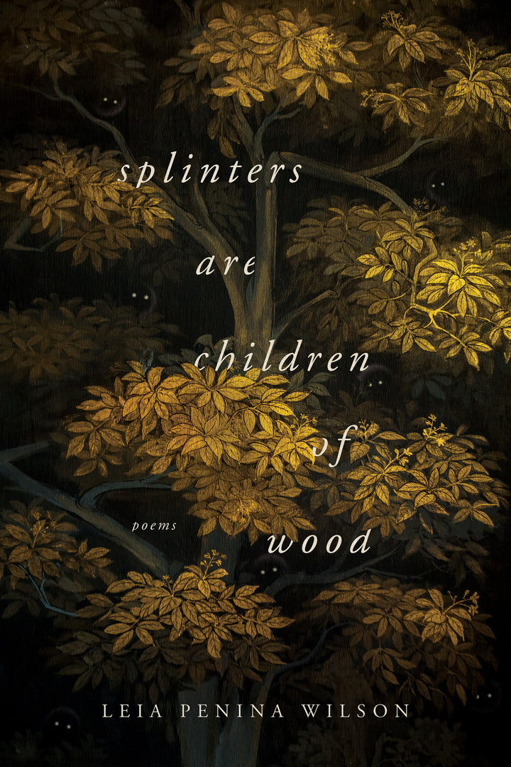 Cover image for Splinters Are Children of Wood ISBN 9780268106188