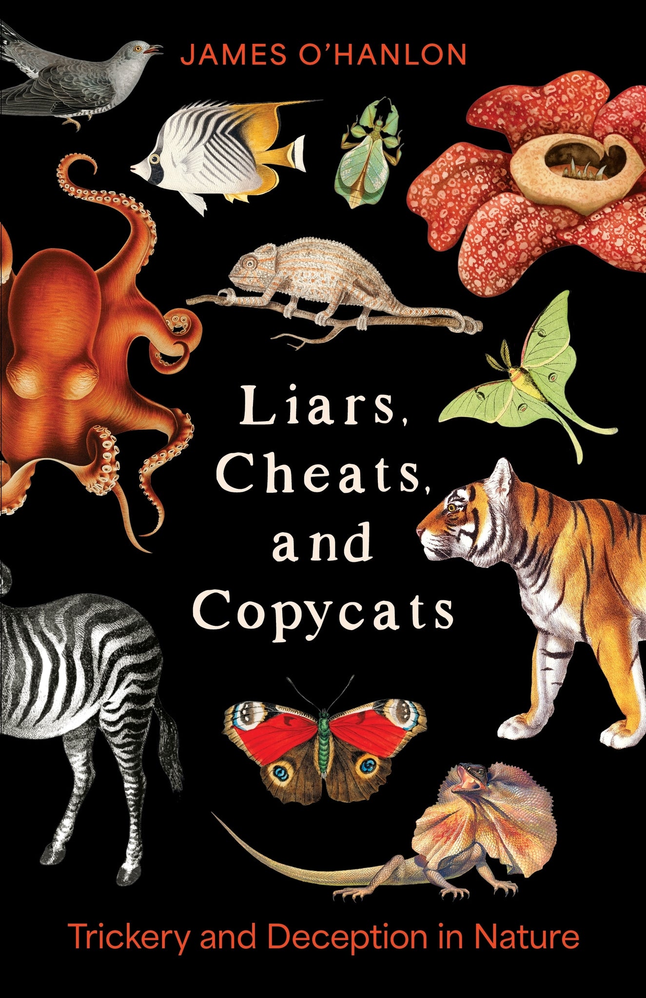 Liars, Cheats, and Copycats