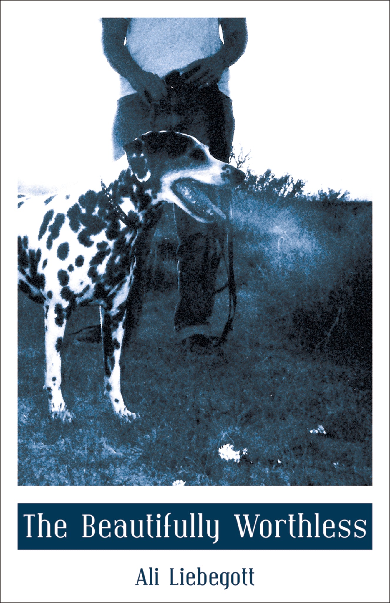 The Beautifully Worthless