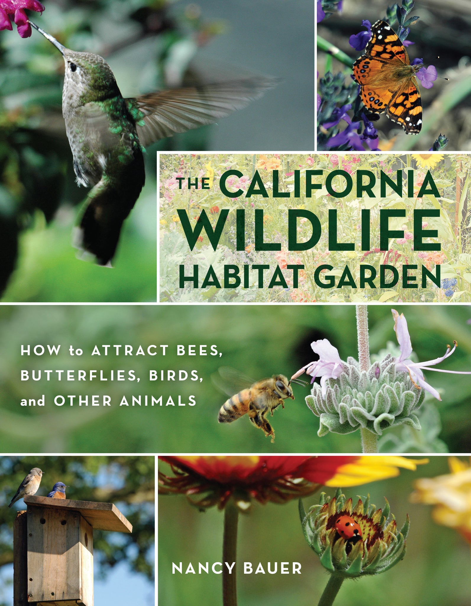 The California Wildlife Habitat Garden