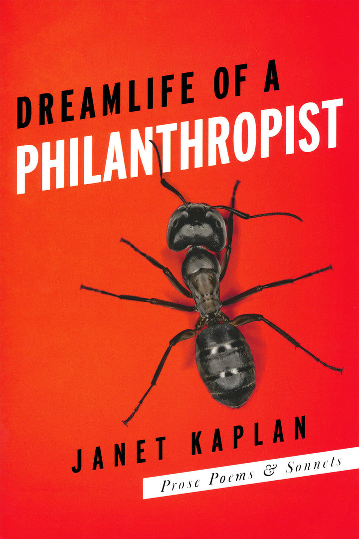 Cover image for Dreamlife of a Philanthropist ISBN 9780268033224