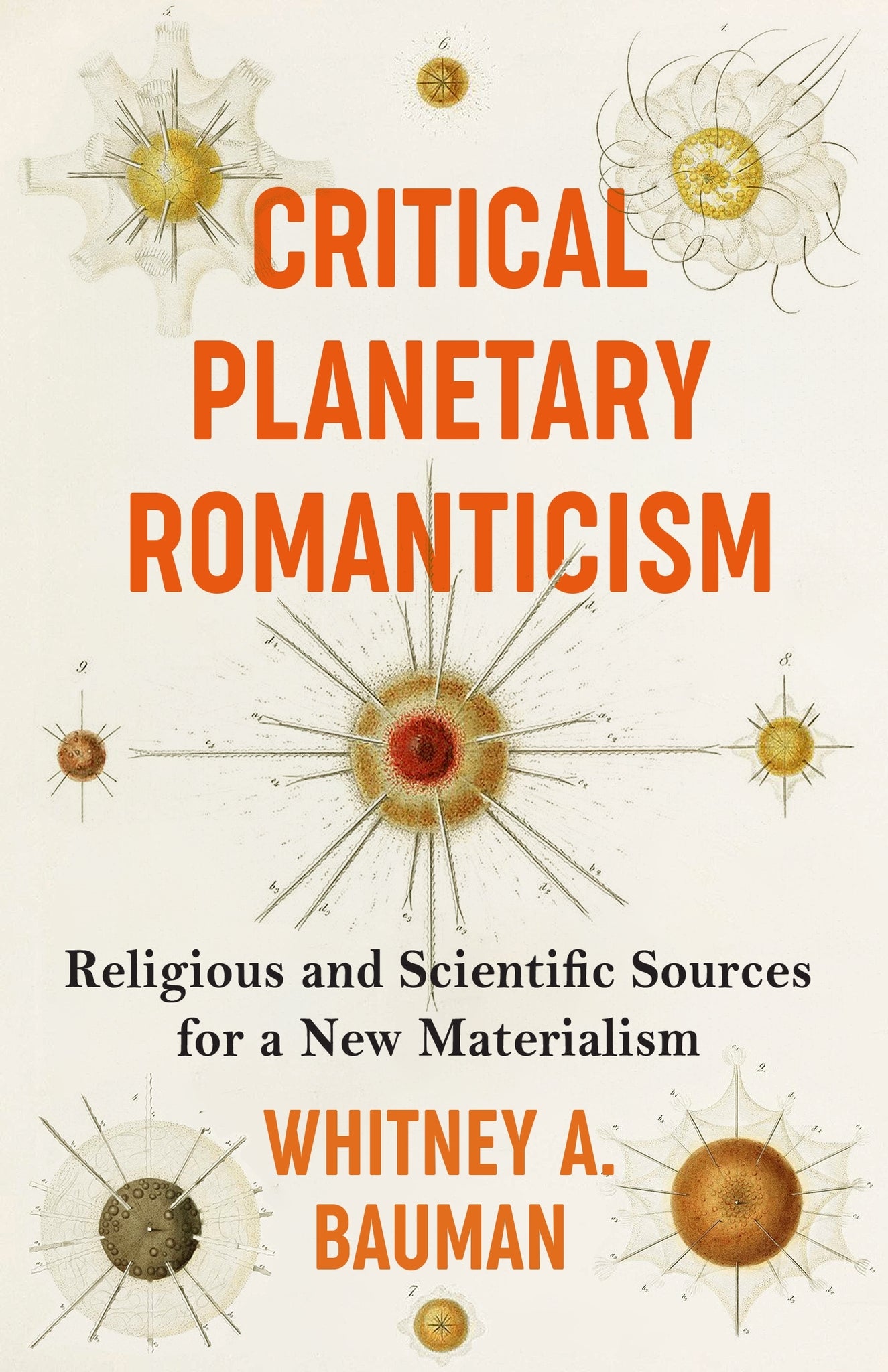 Critical Planetary Romanticism