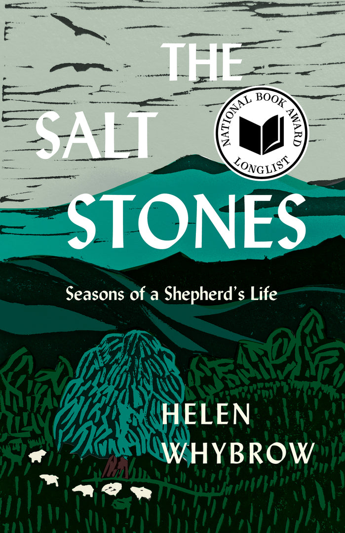 Cover image for The Salt Stones ISBN 9781571311627