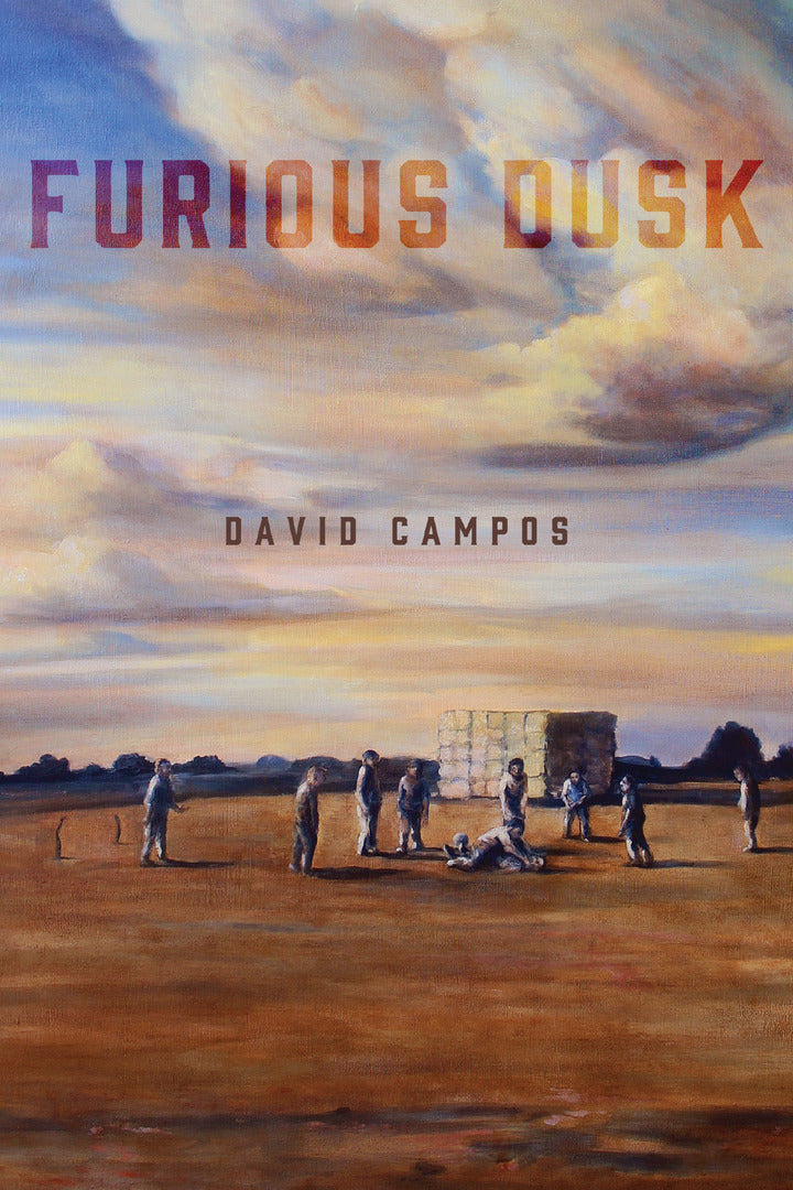 Cover image for Furious Dusk ISBN 9780268023775