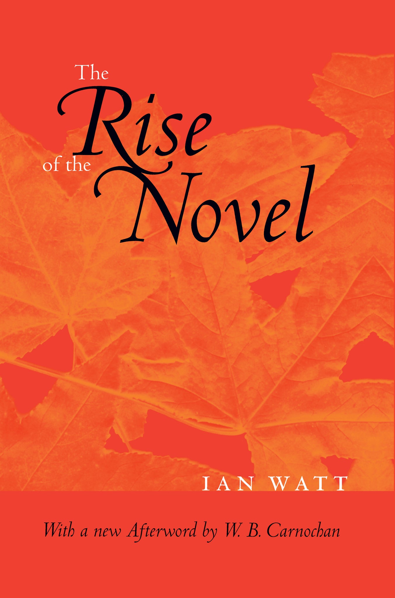 The Rise of the Novel, Updated Edition