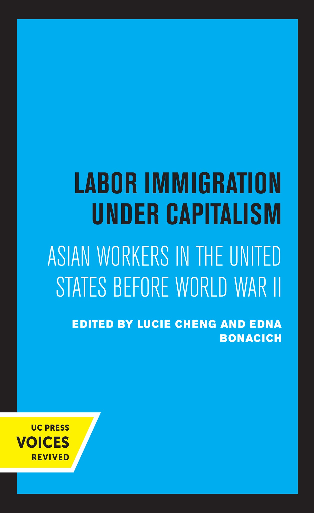 Labor Immigration under Capitalism