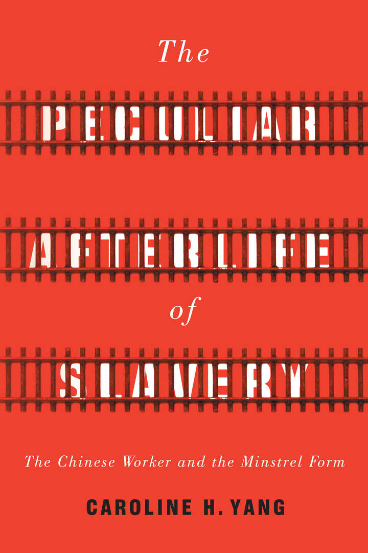 Cover image for The Peculiar Afterlife of Slavery ISBN 9781503612051