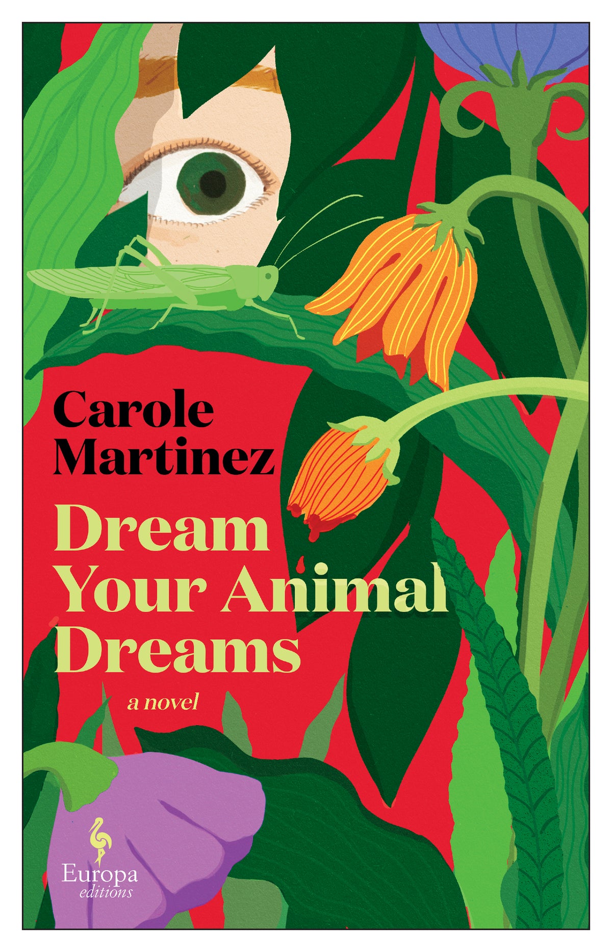Dream Your Animal Dreams