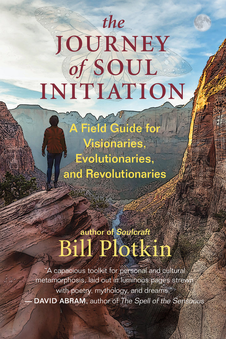 Cover image for The Journey of Soul Initiation ISBN 9781608687015