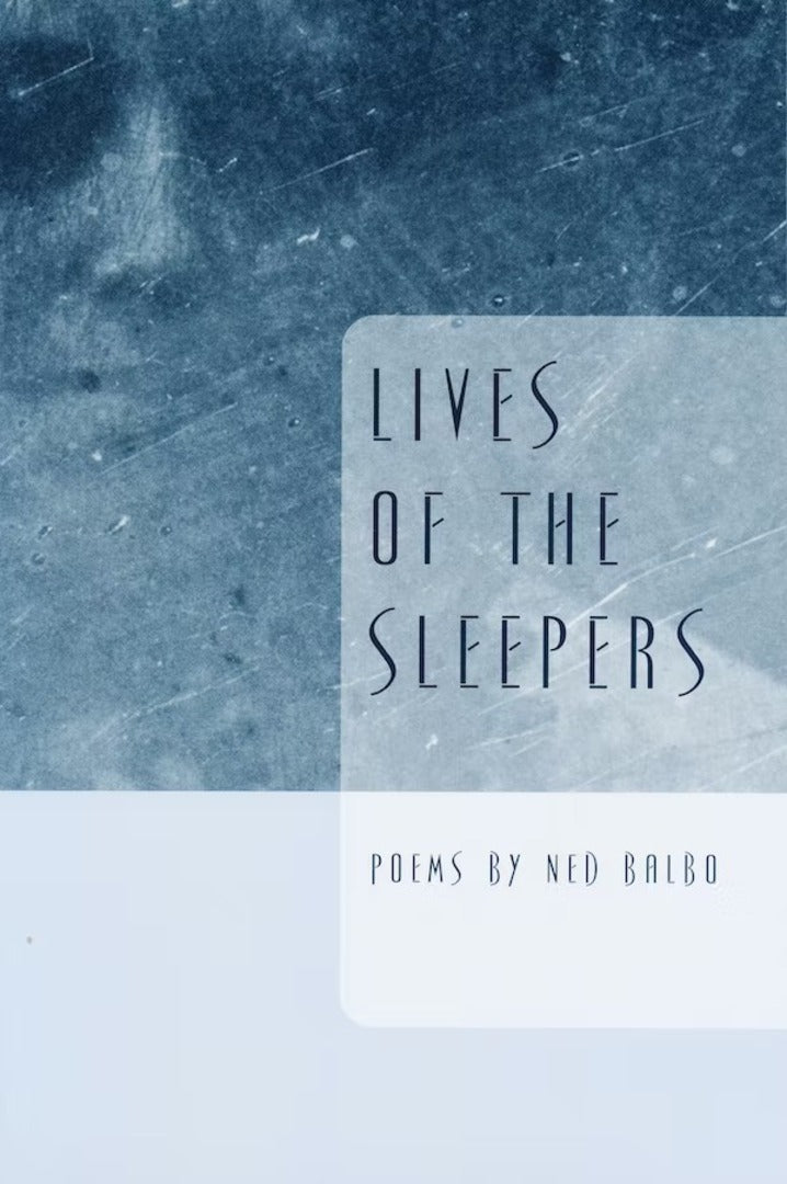 Cover image for Lives of the Sleepers ISBN 9780268021856