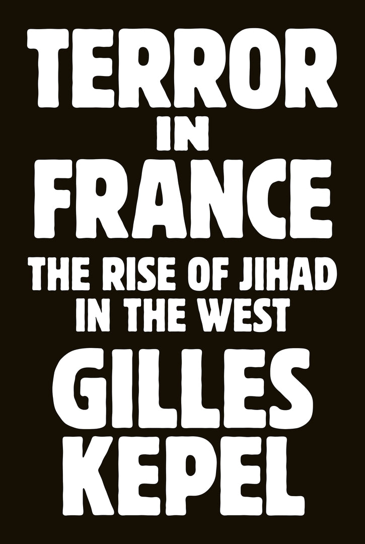 Cover image for Terror in France ISBN 9780691271057