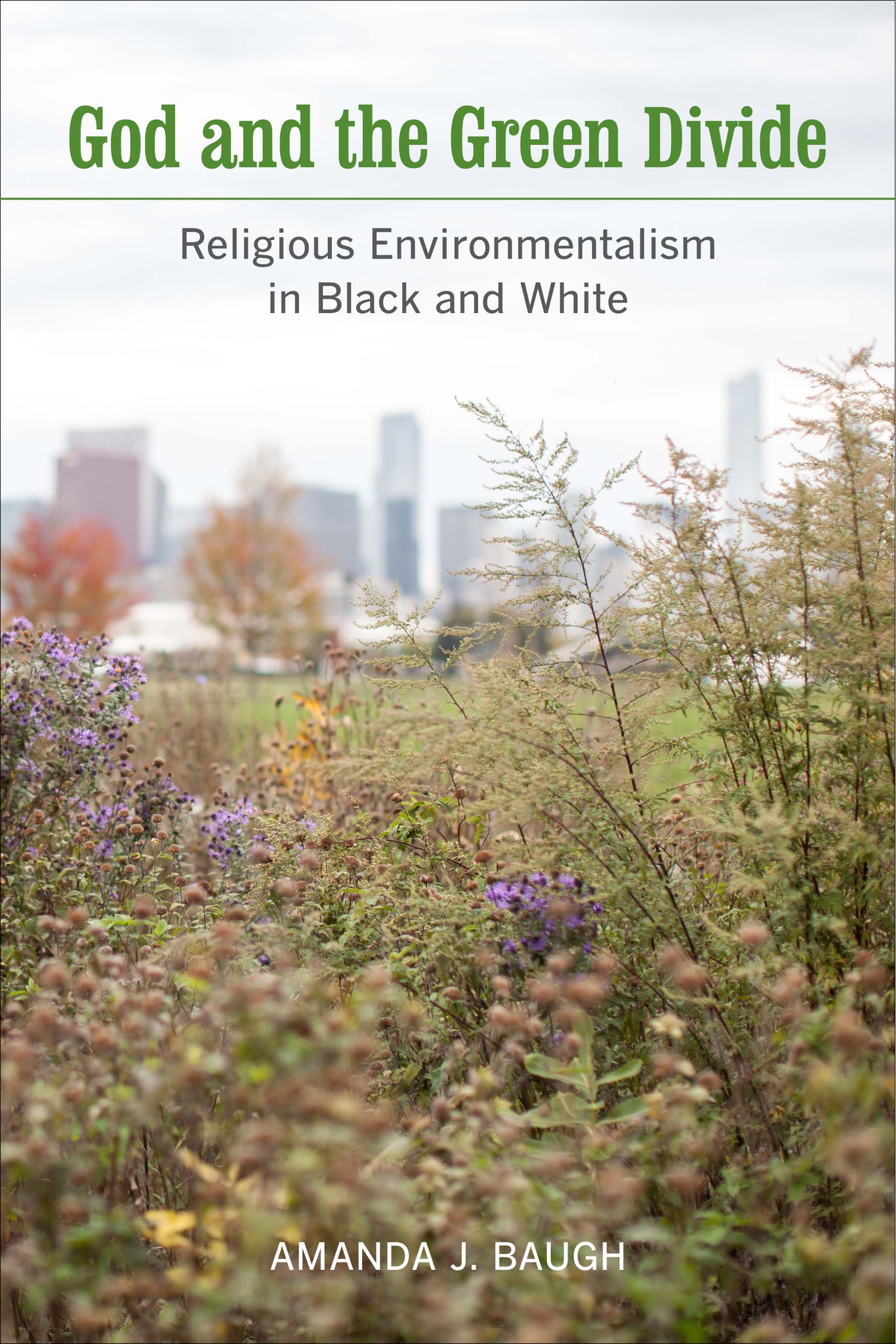 God and the Green Divide