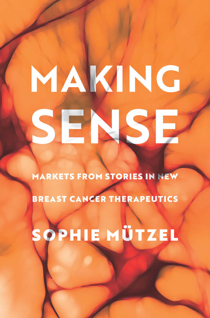 Cover image for Making Sense ISBN 9781503634060