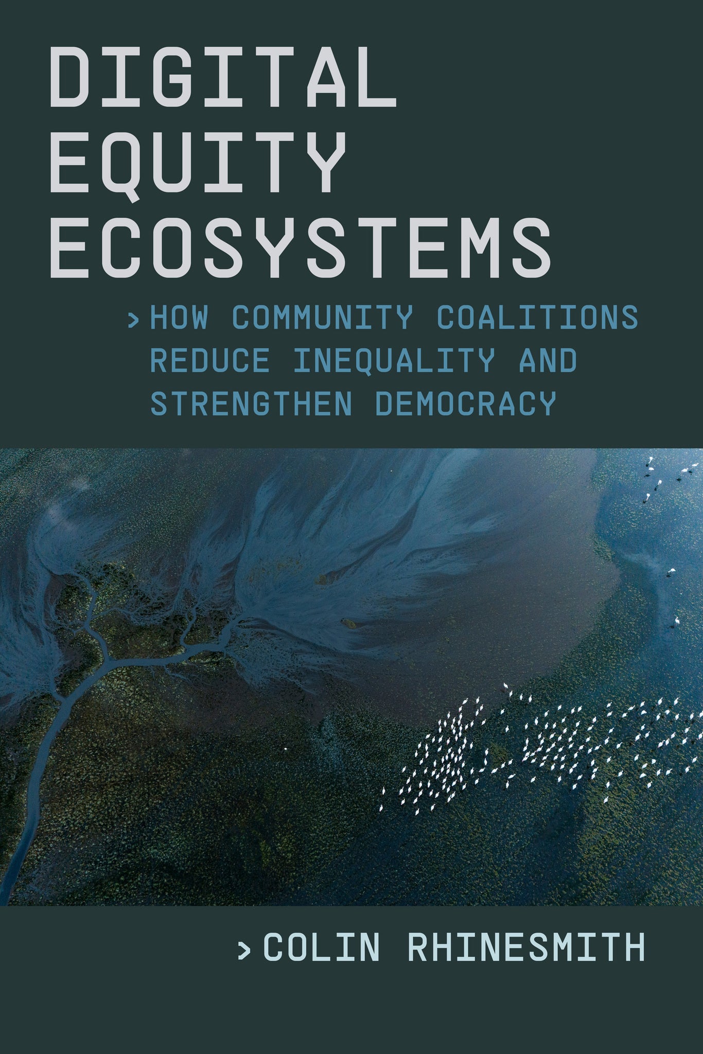 Digital Equity Ecosystems