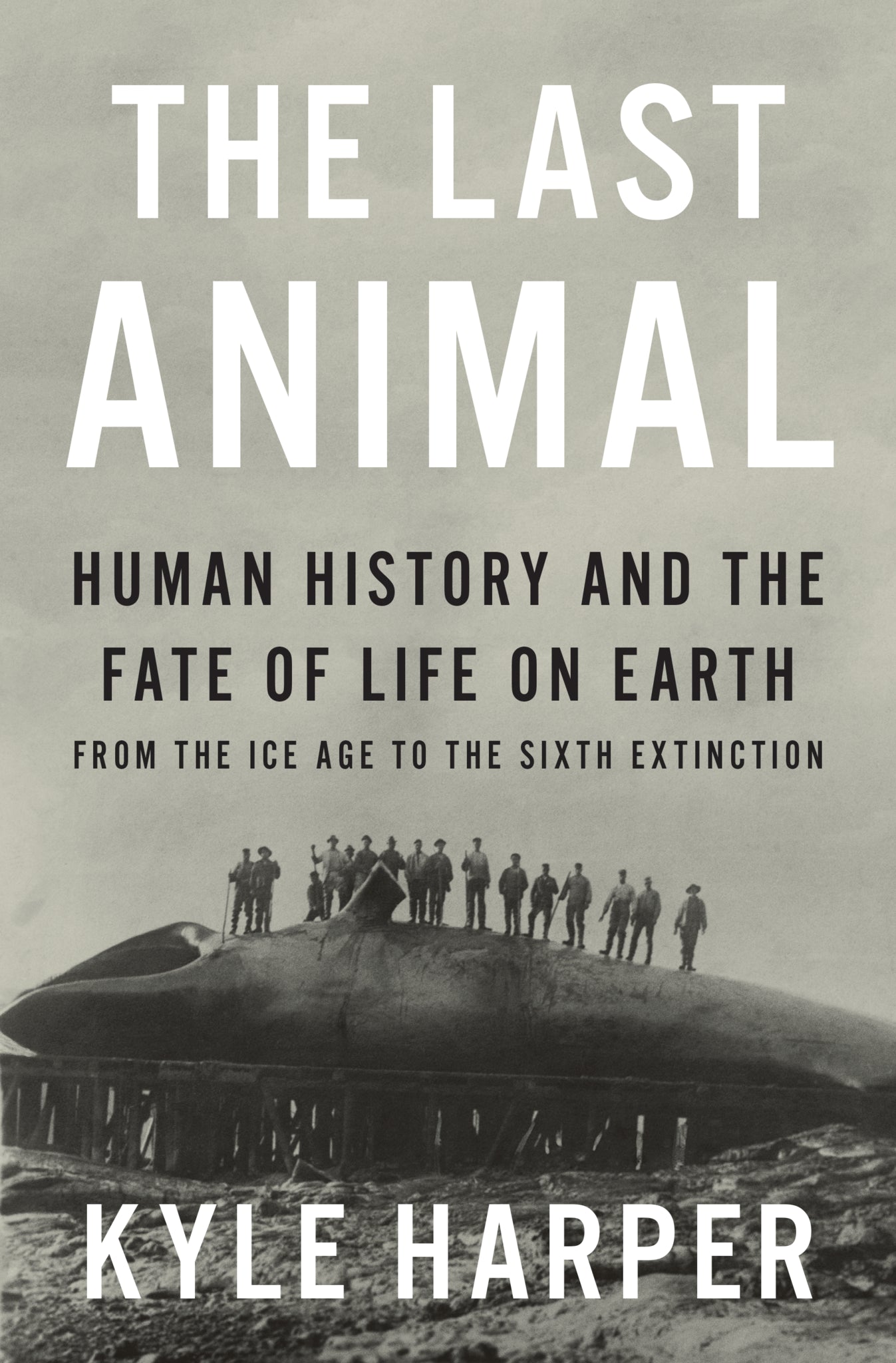 The Last Animal