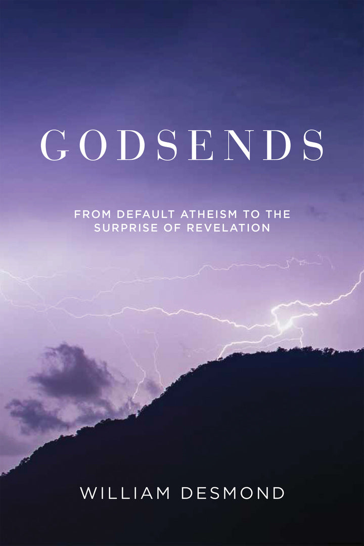 Cover image for Godsends ISBN 9780268201579