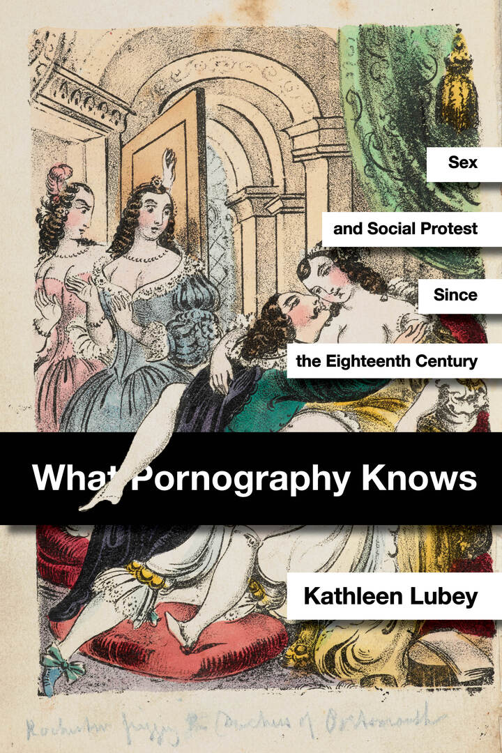 Cover image for What Pornography Knows ISBN 9781503633117