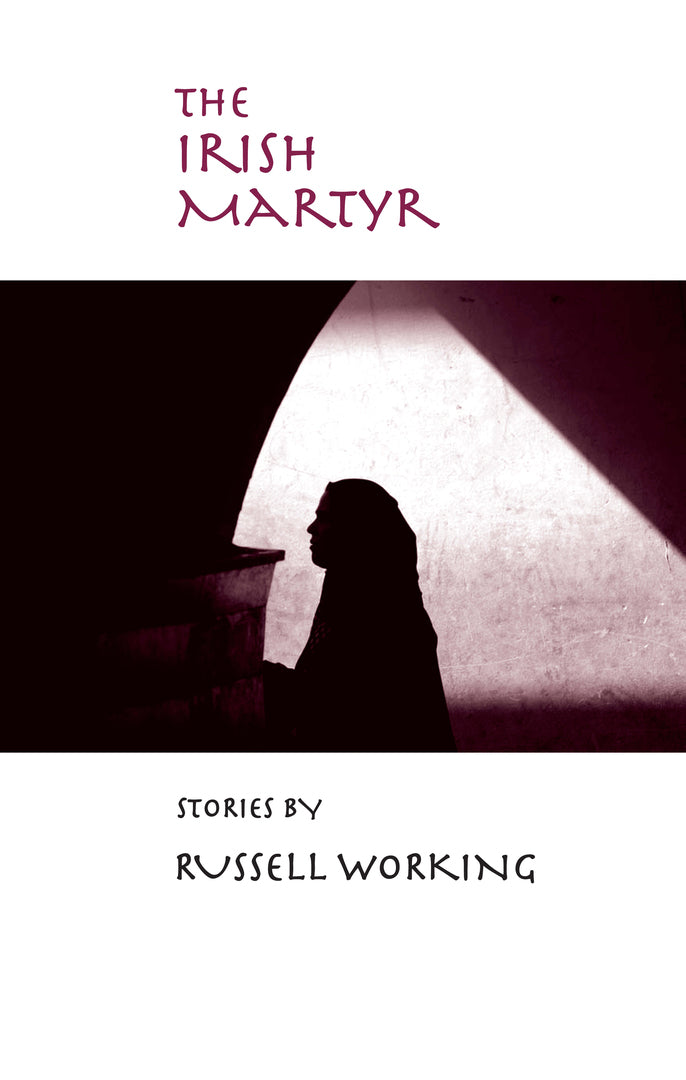 Cover image for The Irish Martyr ISBN 9780268044084