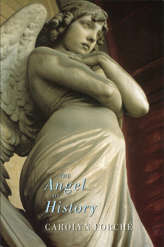 The Angel of History