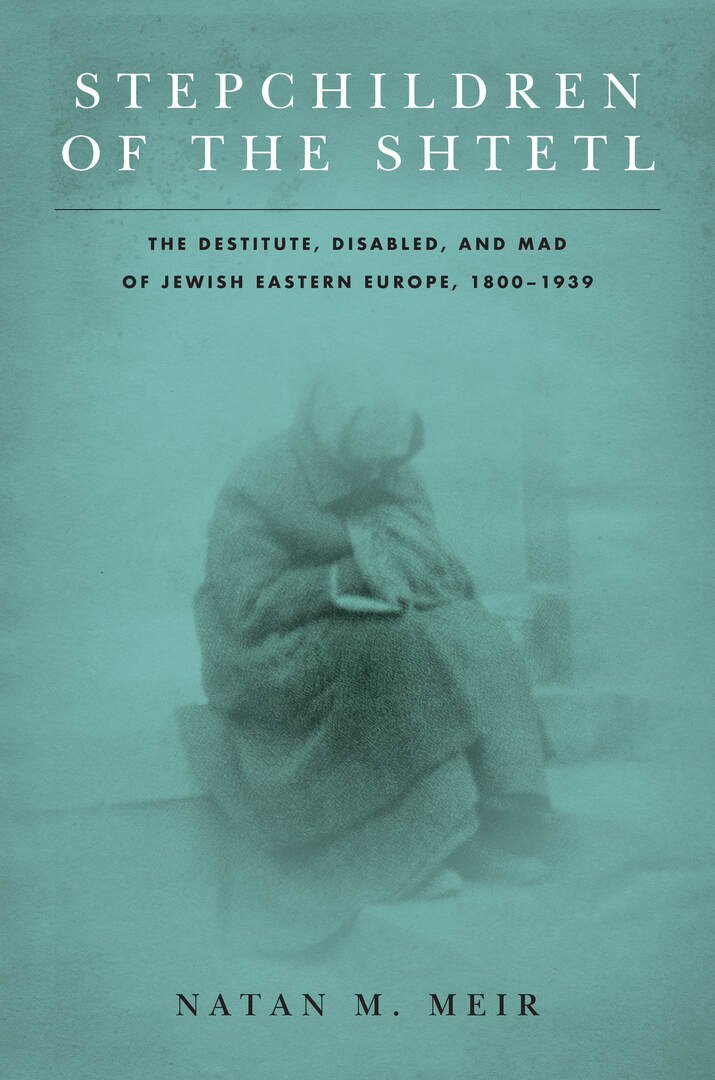 Cover image for Stepchildren of the Shtetl ISBN 9781503613058