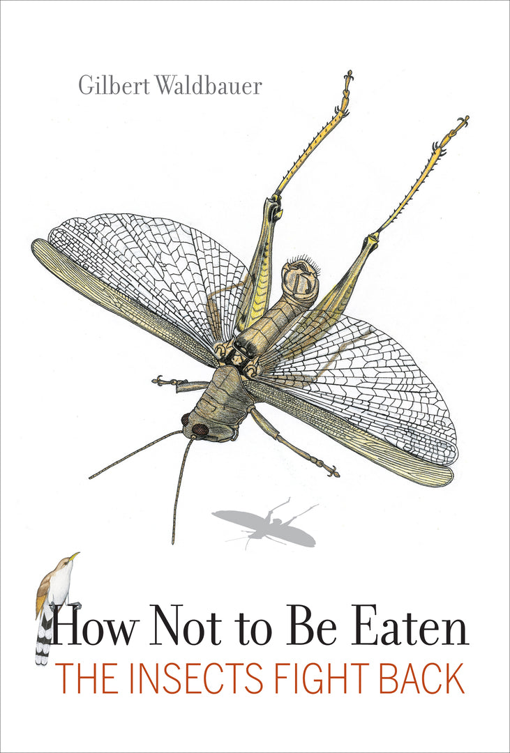 Cover image for How Not to Be Eaten ISBN 9780520383005